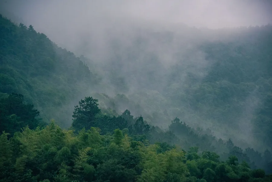 Collines boisées dans la brume, la lecture du paysage en Feng Shui